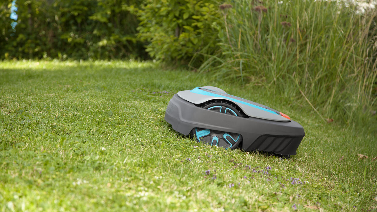 SILENO city, 5400 sq. ft