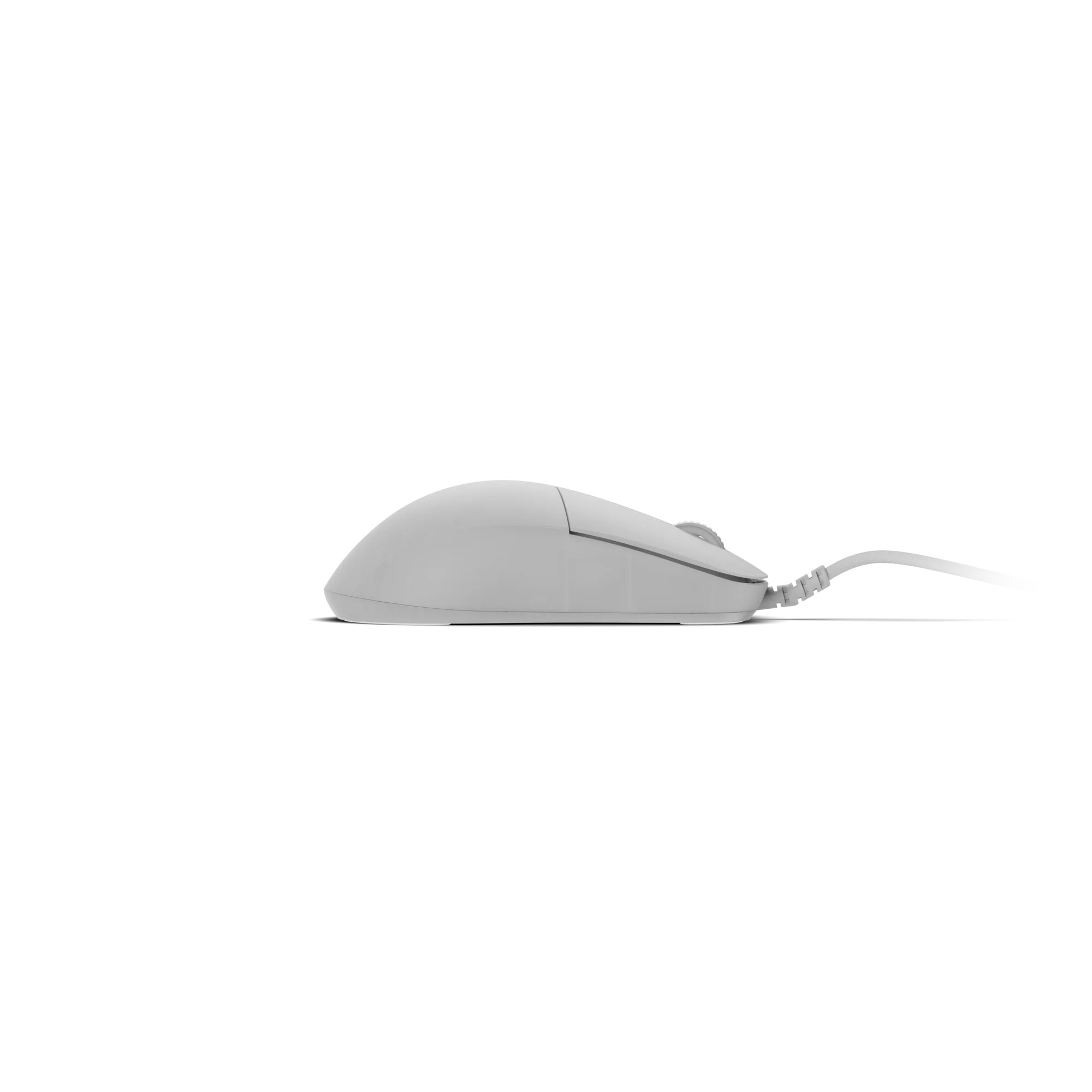 Endgame Gear XM2 8K V2 – Kablet Gaming Mus (White Frost)