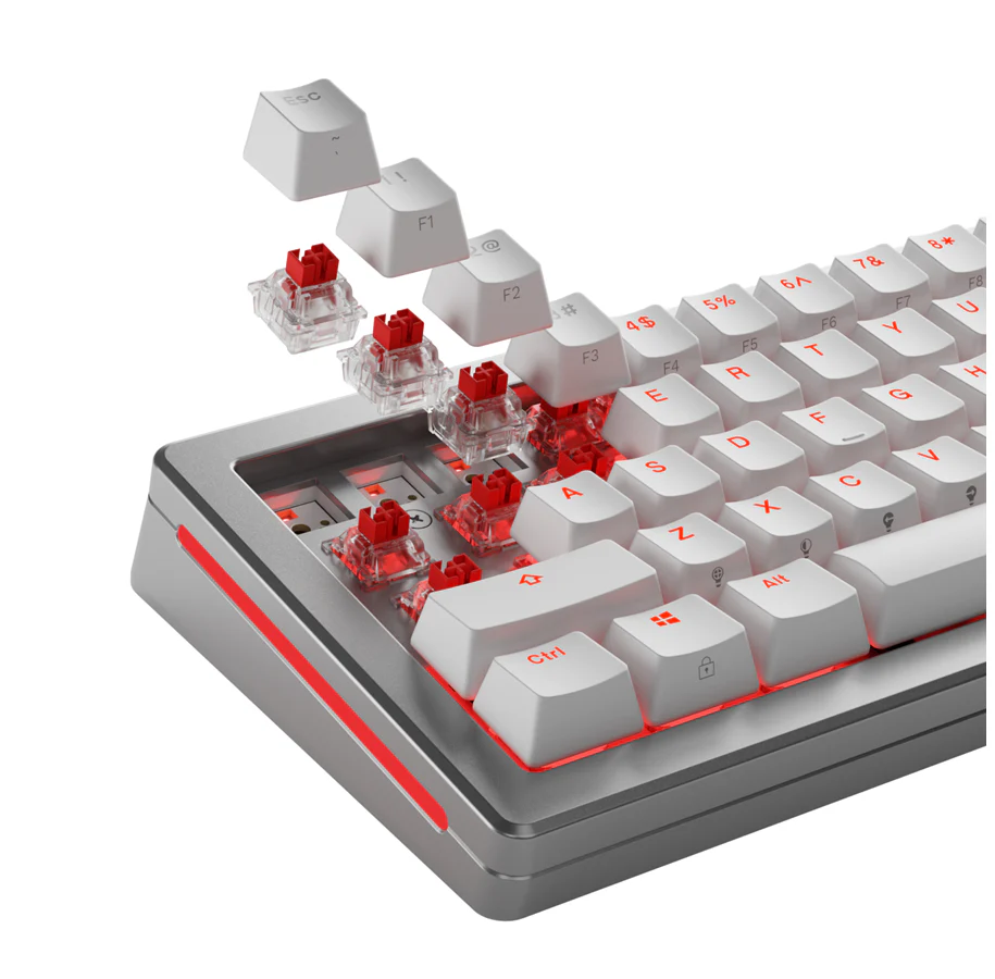 Glorious HE Switches (36 stk) - Fox- Lubed - [Linær] 45g